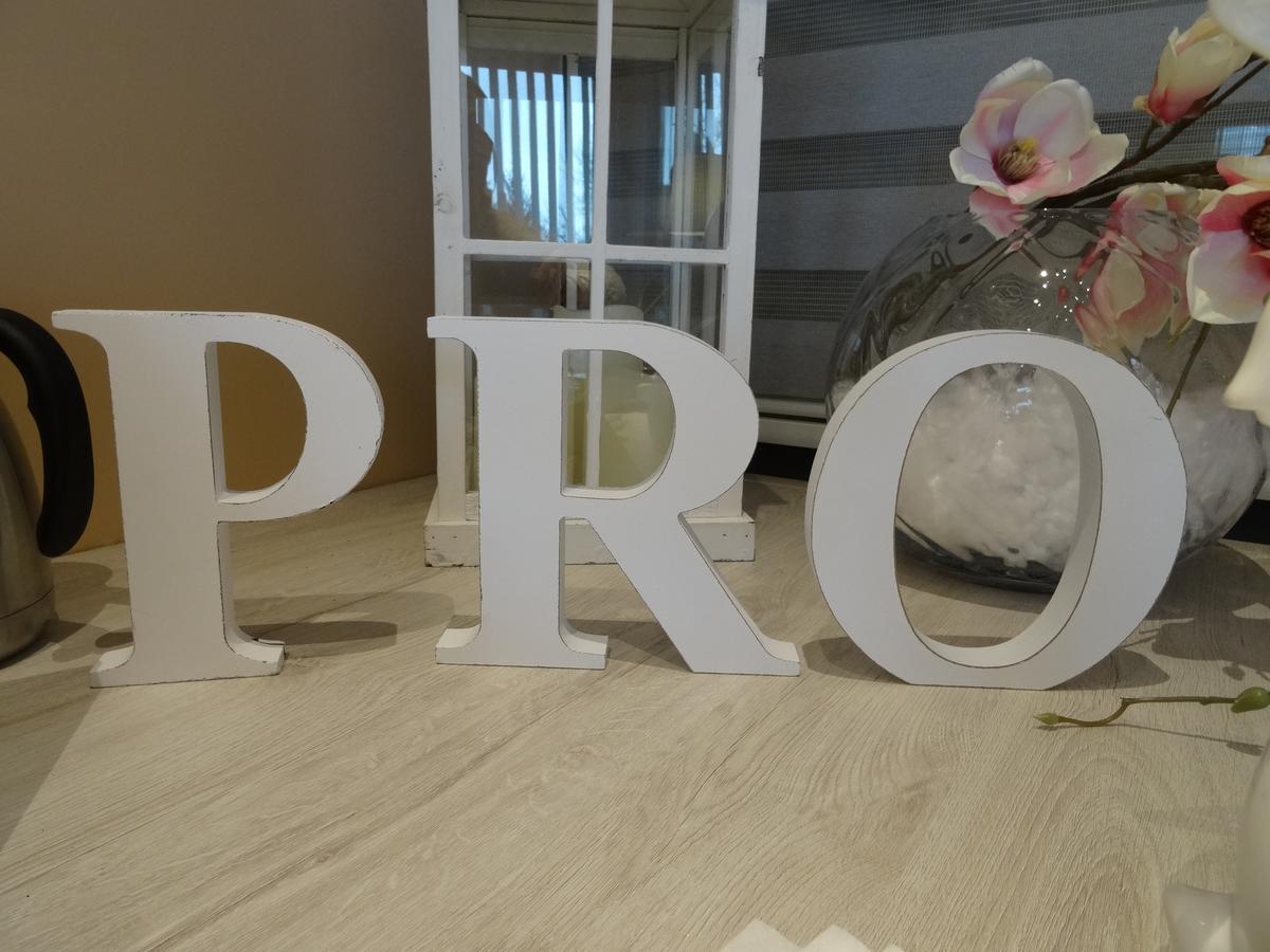 Pro B&B Osielsko Exterior photo